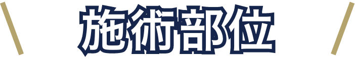 施術部位